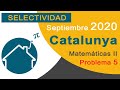 👍 EXAMEN RESUELTO Selectividad ✅️ 2020 Septiembre Catalunya | Matemáticas II Problema 5