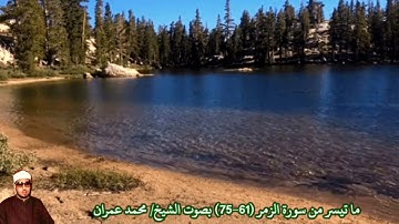 ما تيسر من سورة الزمر (61-75) بصوت الشيخ/ محمد عمران