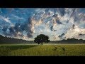 Abraham hicks  how not to be influenced by others