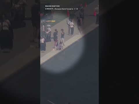US Park Police trying to identify person videoed at Reflecting Pool amid investigation
