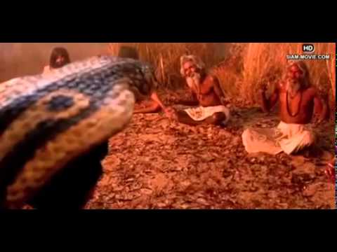 Video RẮN KHỔNG LỒ CHE MƯA CHO ĐỨC PHẬT!!! - youtube