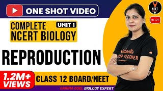 Complete 12th NCERT Biology (Reproduction Unit 1) One Shot | CBSE 12th Board Exam 2020 | Garima Goel Complete 12th NCERT Biology (Reproduction Unit 1) One Shot | CBSE 12th Board Exam 2020 | Garima Goel