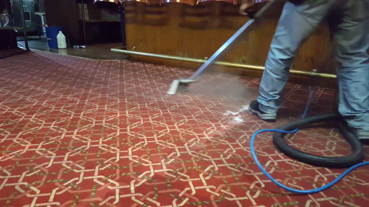 Carpet Cleaning Miami Springs, FL (305)9758345 YouTube