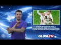 Krople na pchły dla psów zanieczyszczają wodę