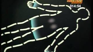 GCSE BBC Bitesize Higher Science - Homeostasis in Humans