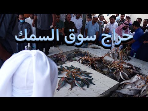 حراج اسماك المدينة    يوسف يكتشف