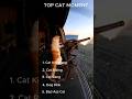 top cat moment #funny
