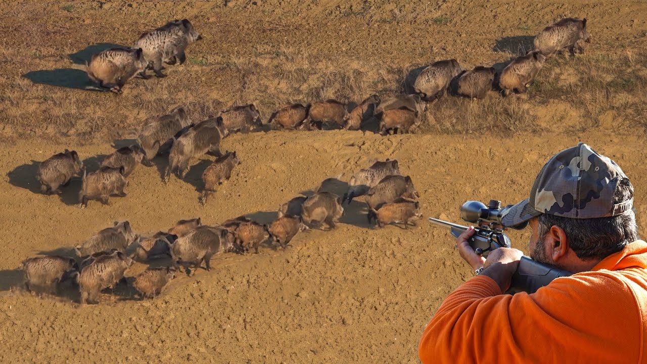 Tenture Murale Indienne Bohème Mandala 215x140 Cm - Coton, Décoration Hippie, Jeté De Lit