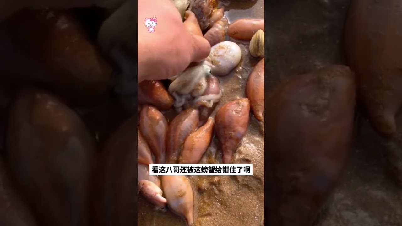 DO NOT TRY THIS AT HOME He Found A Secret Spot On The Beach And This Is What Happened 