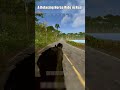 A Relaxing Horse Ride in Rust
