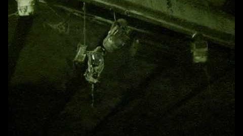 Xenia Beliayeva - Satellite