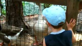 DSCF4923.AVI