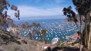 Catalina (song RÜFÜS DU SOL)