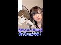 【両声類】よーい丼♡マック選手権開幕www本編はコメント欄から【じゅら切り抜き】 #shorts