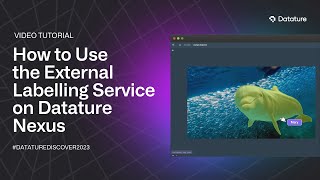 How to Use the External Labelling Service on Datature Nexus