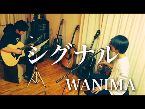 シグナル - WANIMA 【Acoustic cover】