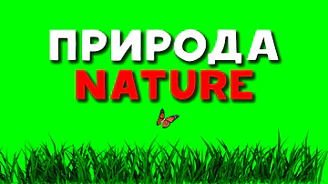 ФУТАЖ ПРИРОДА / ГРОМ / ДОЖДЬ | FOOTAGE NATURE / THUNDER / RAIN | ЗЕЛЁНЫЙ ЭКРАН | GREEN SCREEN | 2022