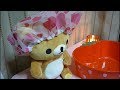 [音フェチ]エステティックサロン[ASMR]