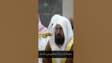 سورة الحجرات #قران #quran #قران_كريم #السديس #quran_karim_قران_الكريم