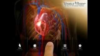 3D Heart & Circulatory Premium 2 for iPad screenshot 5