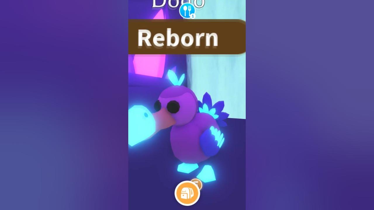 Neon Fly Ride Dodo NFR Showcase (Roblox Adopt Me) - YouTube