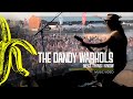 The Dandy Warhols - Next Thing I Know