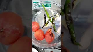 Spicy tomato chutney viral youtubeshorts food recipes tomatochutney