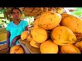 SRI LANKA STREET FOOD - King of Coconuts!! HUNGRY SRI LANKAN Food Trip to Anuradhapura!