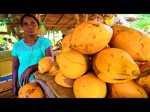 sri-lanka-street-food---king-of-coconuts!!-hungry-sri-lankan-food-trip-to-anuradhapura!