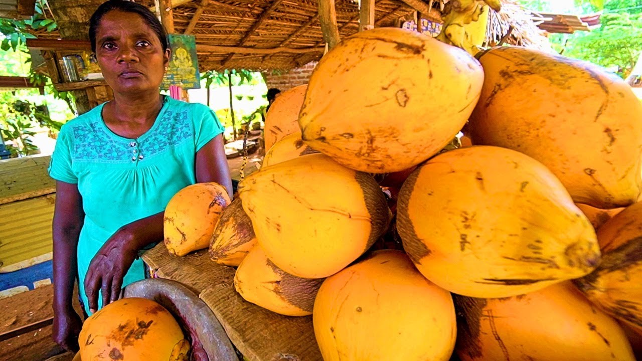 SRI LANKA STREET FOOD - King of Coconuts!! HUNGRY SRI LANKAN Food Trip to Anuradhapura! | Luke Martin