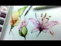 How to Draw & Paint Flowers with Ink and Watercolor Part 1