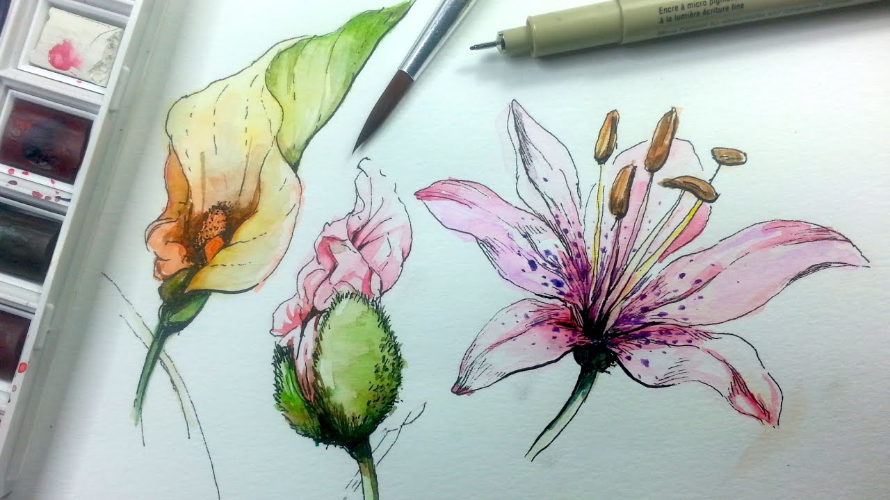 How to Draw & Paint Flowers with Ink and Watercolor Part 1 