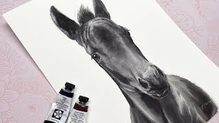 How to paint a Realistic Black Friesian Horse in Watercolors