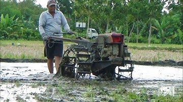 Genius Tractor Operator in cultivating rice fields