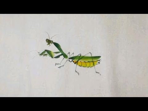 5.2.1螳螂的画法步骤，螳螂，草虫，花鸟鱼虫，国画快速入门