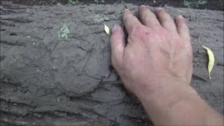 Playing patty cake with Sasquatch - Mud prints and structures - Faces in the trees