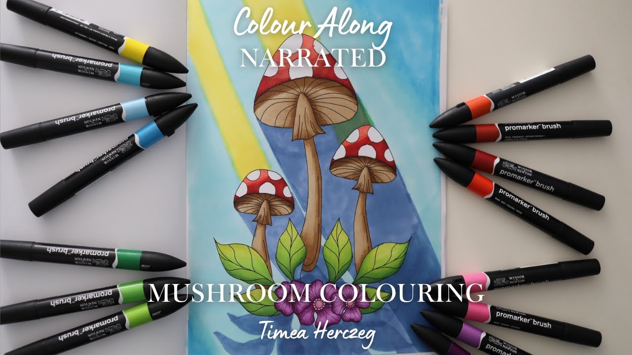 Testing out the 48 Promarker Brush set of alcohol markers inside of Timea Herczeg's Colouring Book