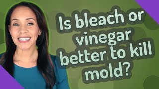 Is bleach or vinegar better to kill mold?