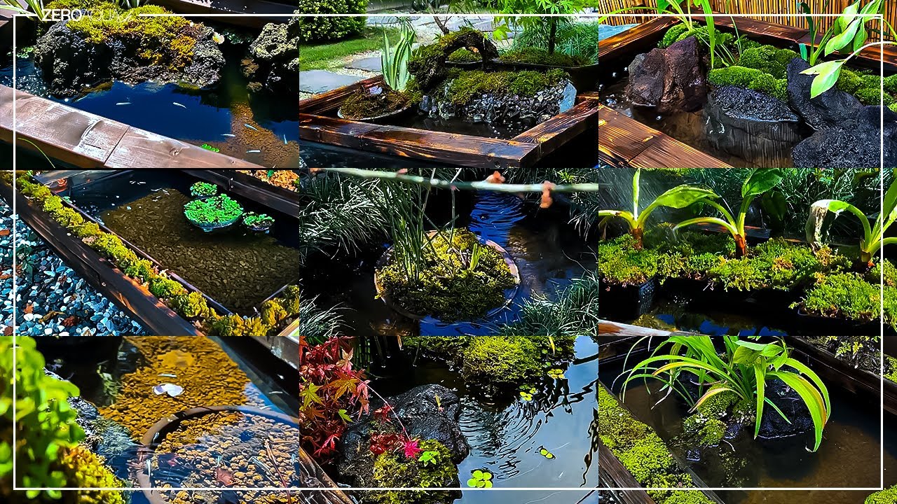 作り続けたビオトープ遍歴 9作品｜メダカ｜金魚｜Biotop｜killifish｜vlog