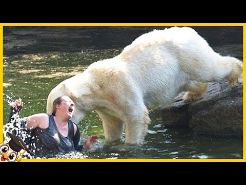 Video: De mest intressanta djurparkerna i världen