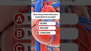 Human Body Quiz 3 | Anatomy General Knowledge | Biology Science Gk Test | Body Parts #gk #mcq #quiz