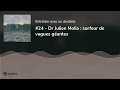 24  dr julien molia  surfeur de vagues gantes