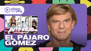 ¿Auto Rojo tiene un significado oculto? El PÁJARO GÓMEZ de Vilma Palma e Vampiros #Perros2024