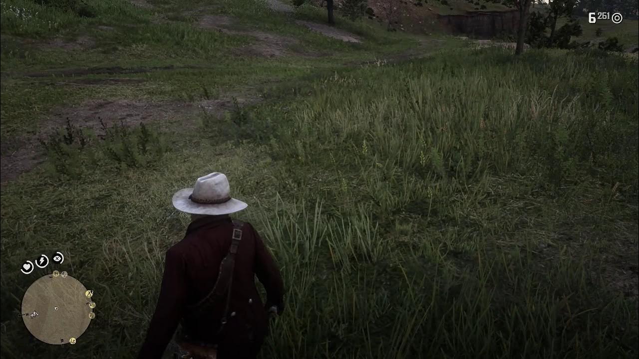 How To Do Gun Spinning Tricks Rdr2 RDR2 How to do the revolver spinning trick (PC Story mode)(1080p 60 FPS