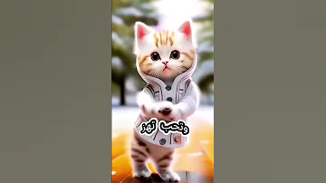 عمر يا قمر يا جميل يا مسكر اغنيه باسم عمر 