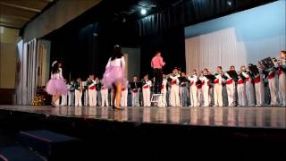 Delfines Marching Band - Ceremonia de Graduación 2017