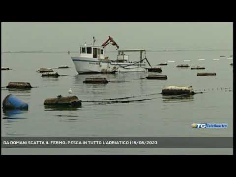 DA DOMANI SCATTA IL FERMO-PESCA IN TUTTO L'ADRIATICO | 18/08/2023