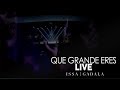 Issa Gadala | Que Grande Eres | Live