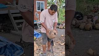 Giant Coconut Cutting 🥥 Fruit Cutting Skills