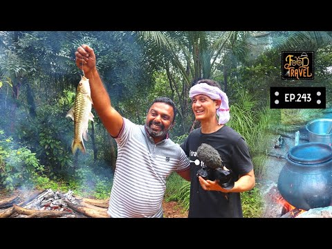 american-food-vlogger-(mark-wiens)-trying-kerala-tribal-food-in-ponmudi